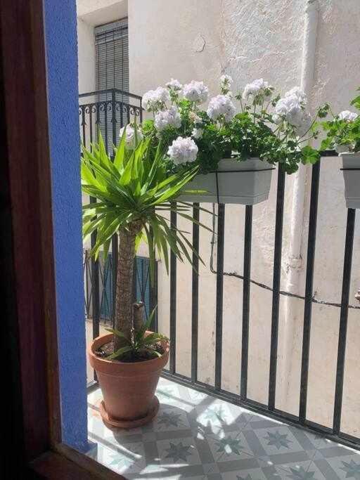 Ferienwohnung Casa Ziba Casco Antiguo Wifiaa Peñíscola Exterior foto